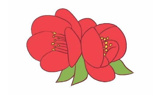 海棠花简笔画图片大全作品四