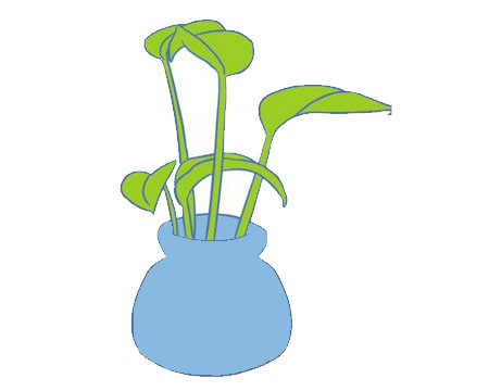 绿萝简笔画图片大全作品五