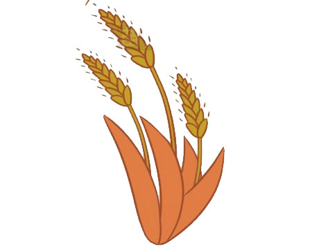 麦穗简笔画图片大全作品三