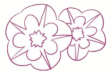 喇叭花简笔画图片步骤三