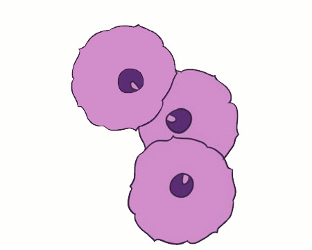 喇叭花简笔画图片大全作品三