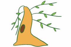 柳树简笔画的画法步骤教程及图片大全