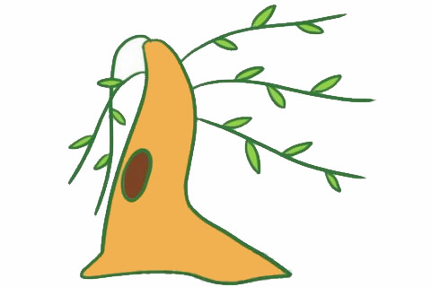 柳树简笔画大图