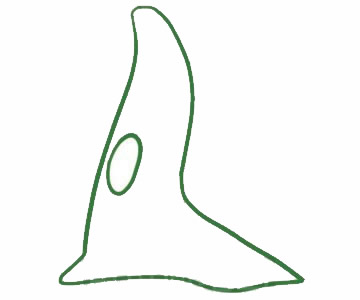 柳树简笔画图片步骤一