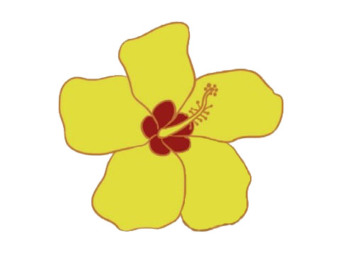 木槿花简笔画图片大全作品一