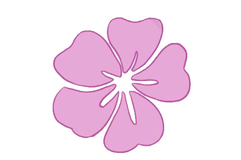 木槿花简笔画图片大全作品四