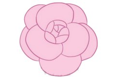 山茶花简笔画的画法步骤教程及图片大全