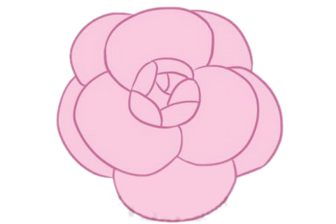 山茶花简笔画完成图