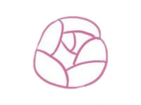 山茶花简笔画图片步骤一