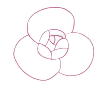 山茶花简笔画图片步骤二