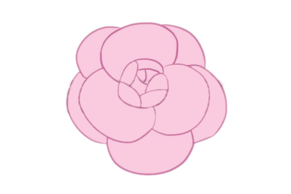 山茶花简笔画图片步骤四