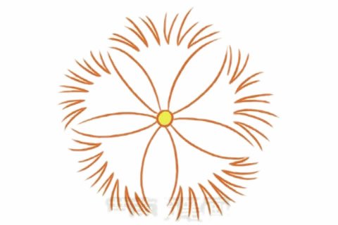 石竹花简笔画图片