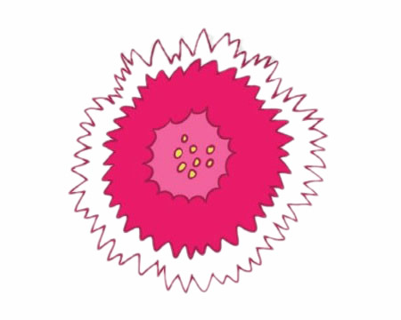 石竹花简笔画图片