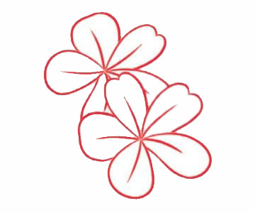 荼蘼花简笔画图片