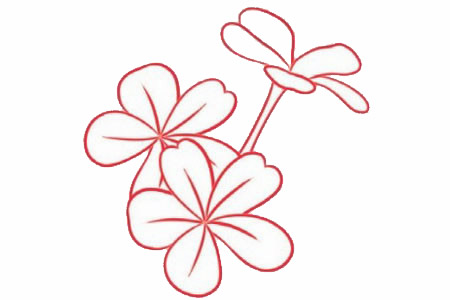 荼蘼花简笔画图片