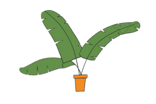 芭蕉树简笔画图片