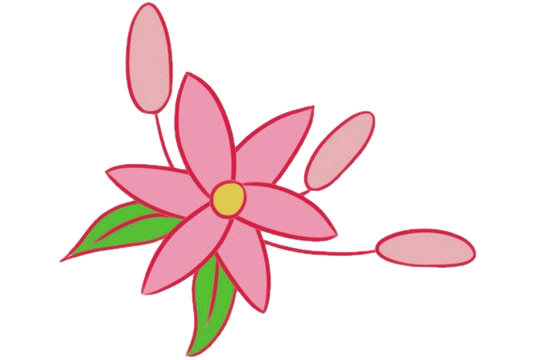 百合花简笔画图片