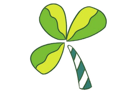 三叶草简笔画完成图