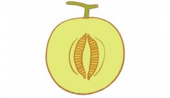 哈密瓜简笔画的画法步骤图解教程及图片大全