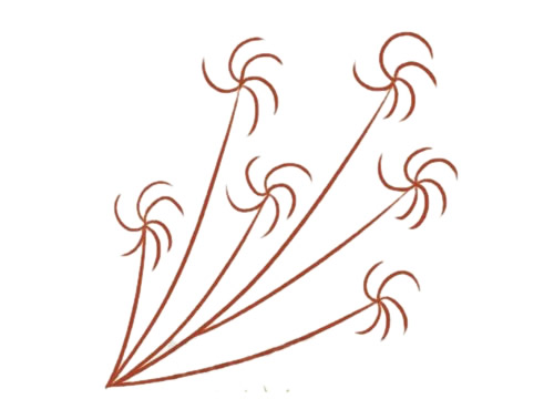 蒲公英简笔画图片
