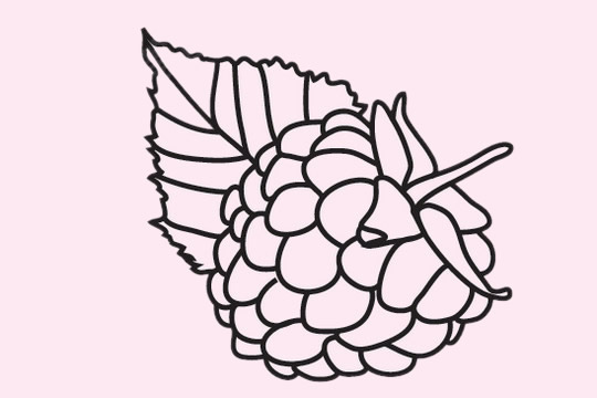 桑葚简笔画图片