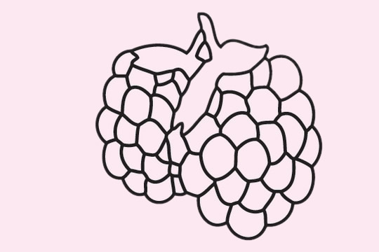 桑葚简笔画图片