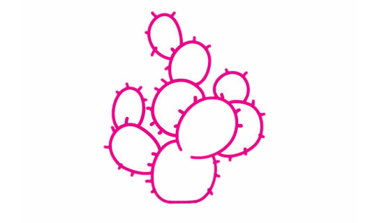 仙人球简笔画完成图