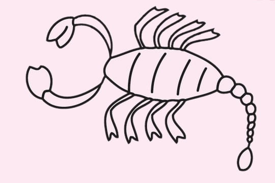 蝎子简笔画图片