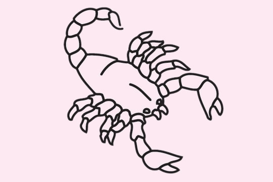 蝎子简笔画图片