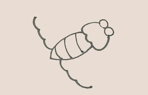 简飞蛾简笔画图片