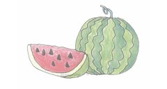 西瓜简笔画的画法步骤教程