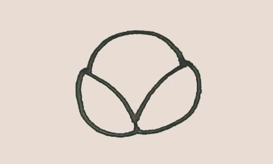 荔枝简笔画图片