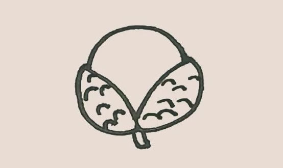 荔枝简笔画图片