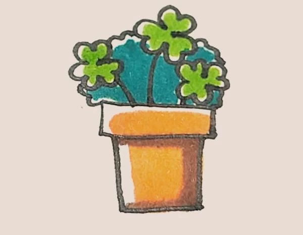 三叶草盆栽简笔画图片