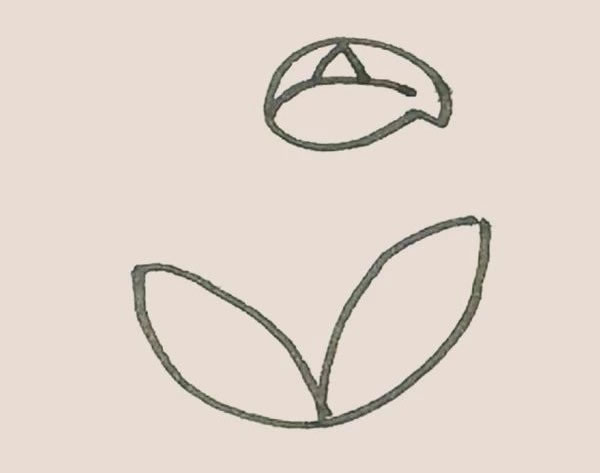 马蹄莲简笔画图片