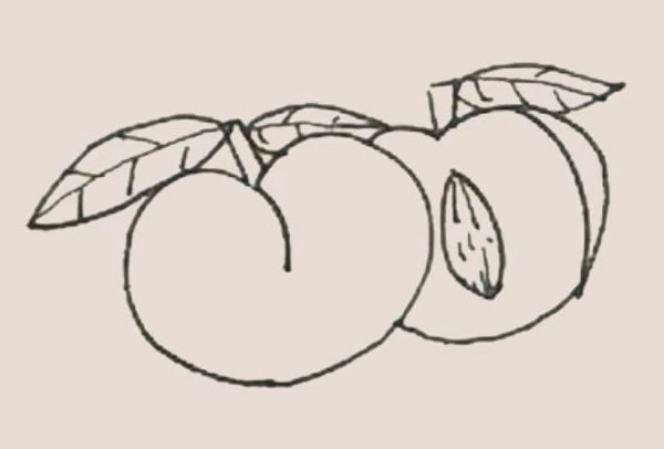黄桃简笔画图片