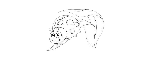 瓢虫简笔画图片