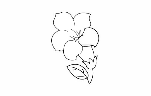 杜鹃花简笔画图片