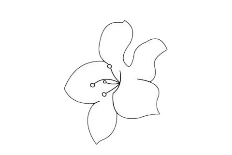 杜鹃花简笔画图片