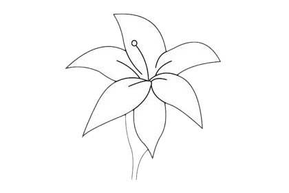 杜鹃花简笔画图片