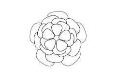 月季花简笔画画法步骤及图片大全