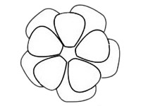 月季花简笔画图片