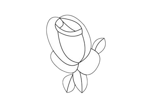 月季花简笔画图片