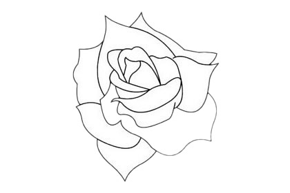 月季花简笔画图片