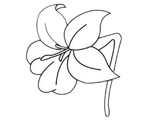 百合花简笔画图片