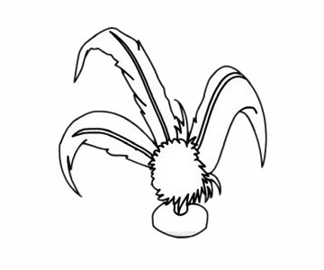 毽子简笔画图片步骤四