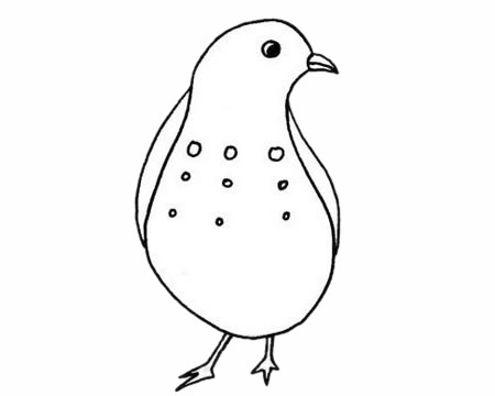 鹌鹑简笔画图片