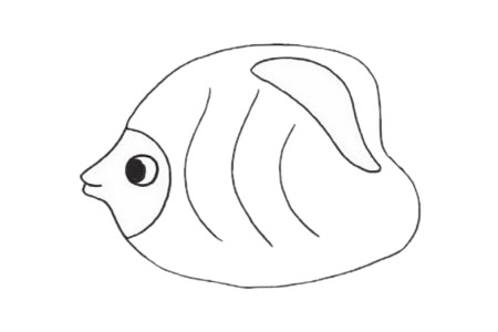 鲽鱼简笔画图片