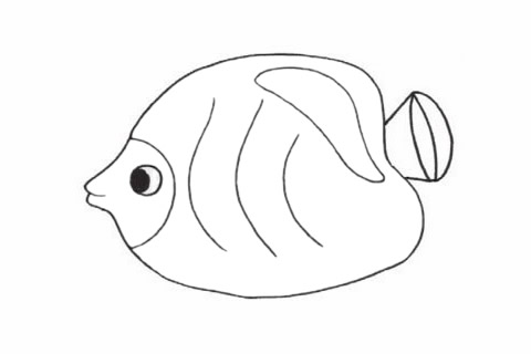 鲽鱼简笔画图片