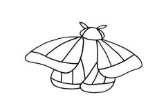 飞蛾简笔画步骤教程及图片大全